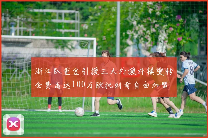 浙江队重金引援三大外援朴镇燮转会费高达100万欧托利奇自由加盟