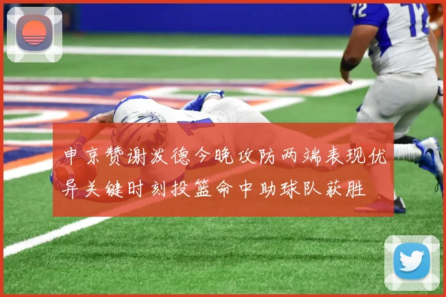 申京赞谢泼德今晚攻防两端表现优异关键时刻投篮命中助球队获胜
