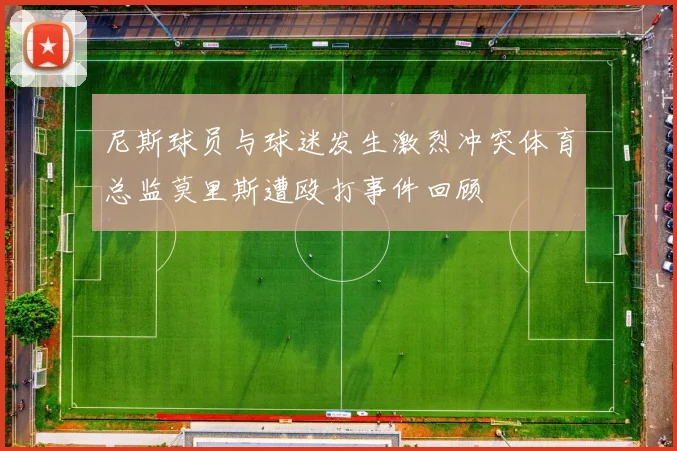 尼斯球员与球迷发生激烈冲突体育总监莫里斯遭殴打事件回顾