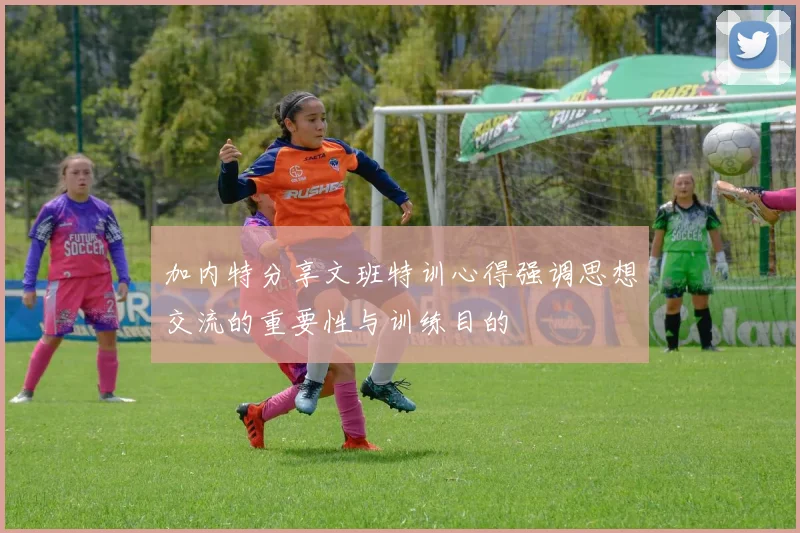 加内特分享文班特训心得强调思想交流的重要性与训练目的